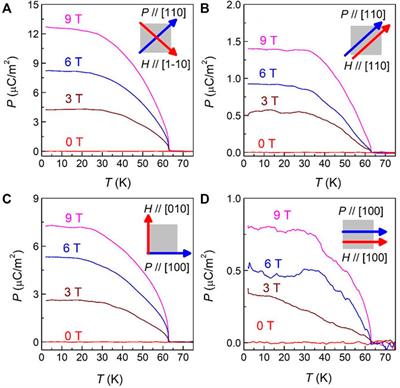 Observation of linear magnetoelectric effect in a Dirac magnon antiferromagnet Cu3TeO6